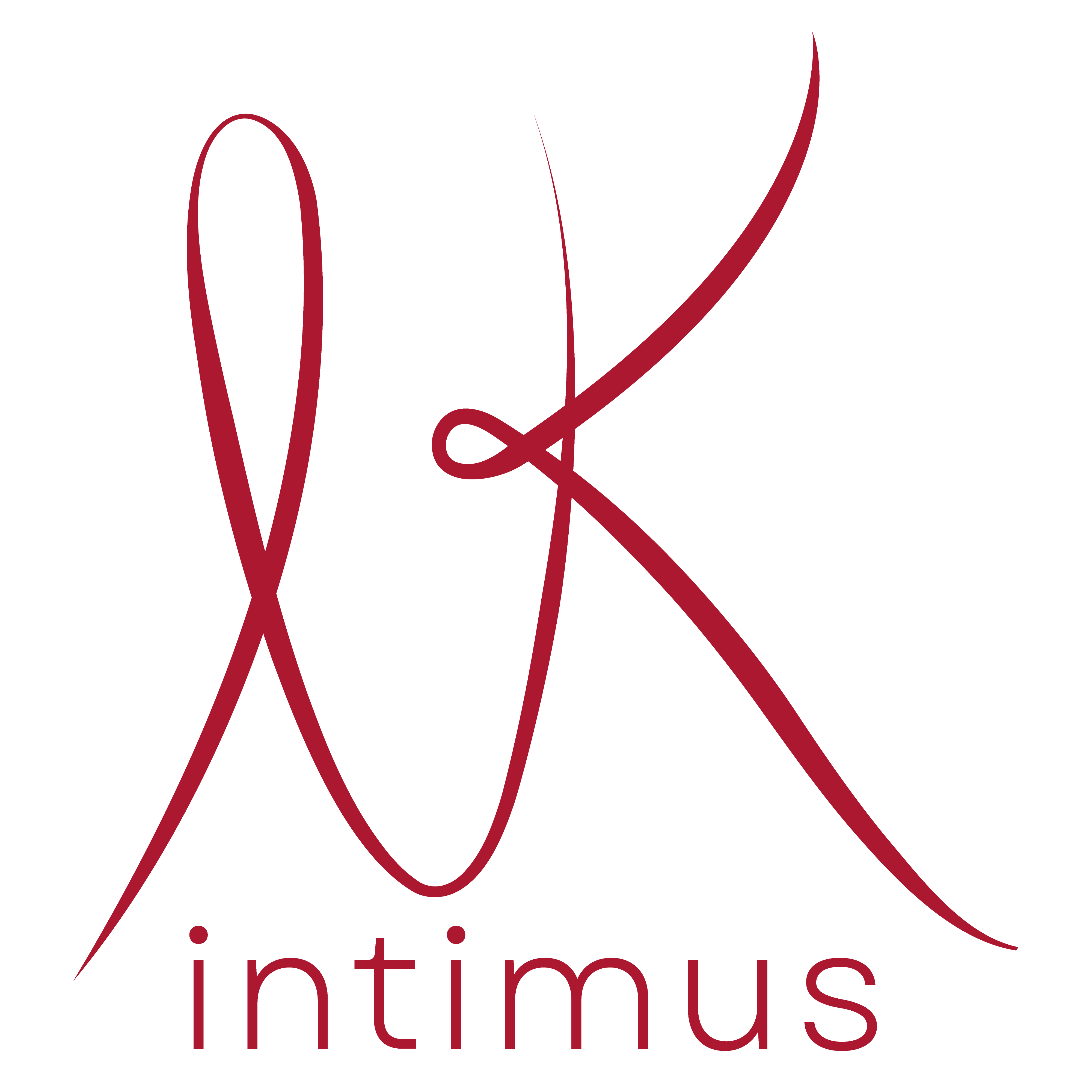 Logo LK